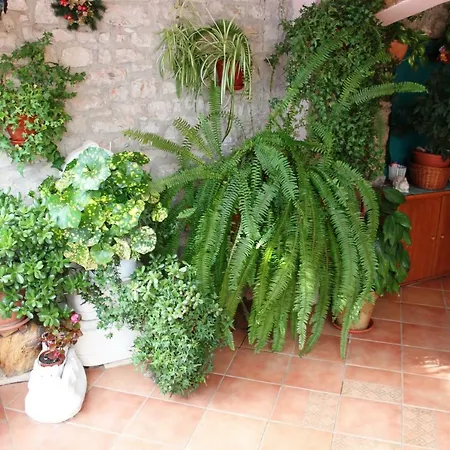 Apartman Nada Sali Exterior foto
